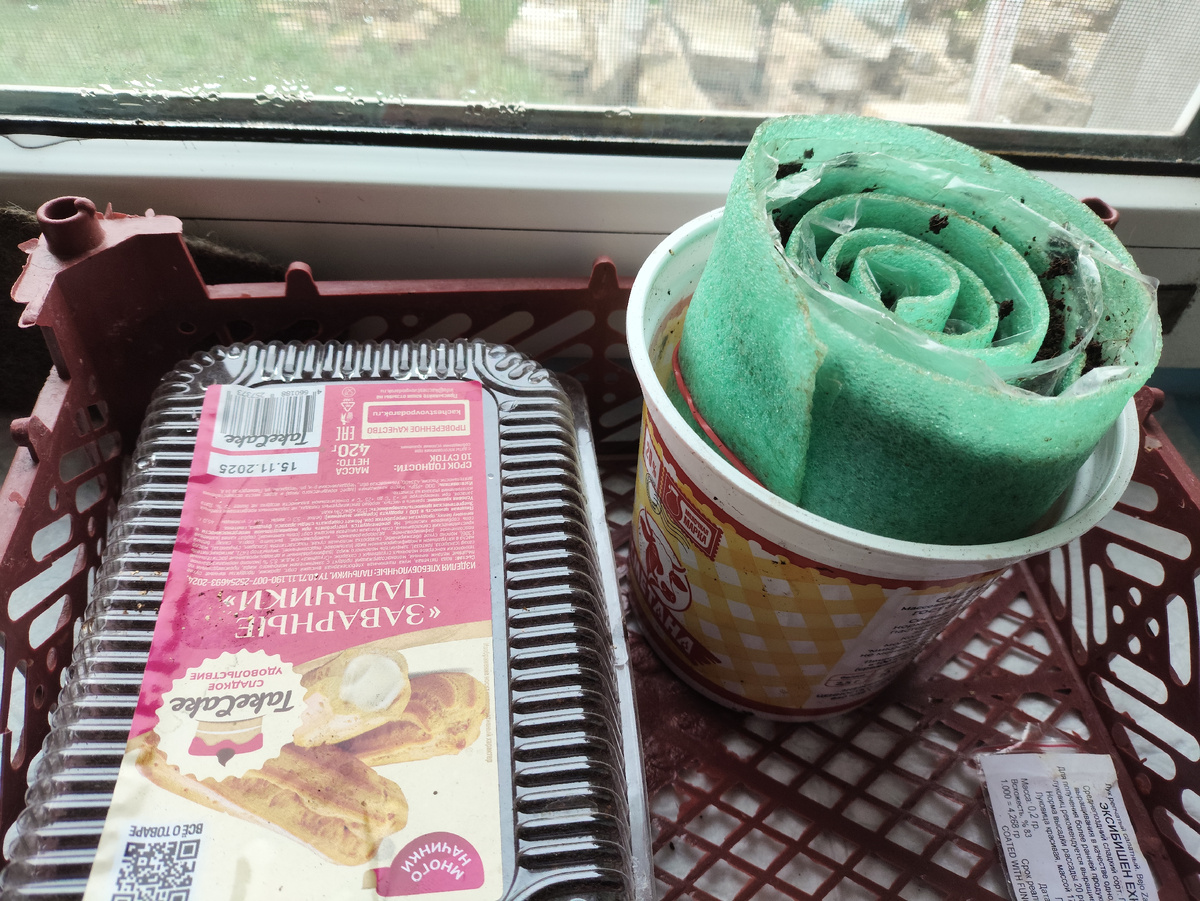 Контейнер и улитка готовы.