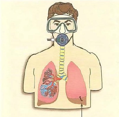 Фото: emarket-cn.ru