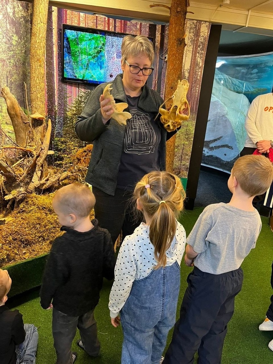    Фото: Нацпарк «Водлозерский»