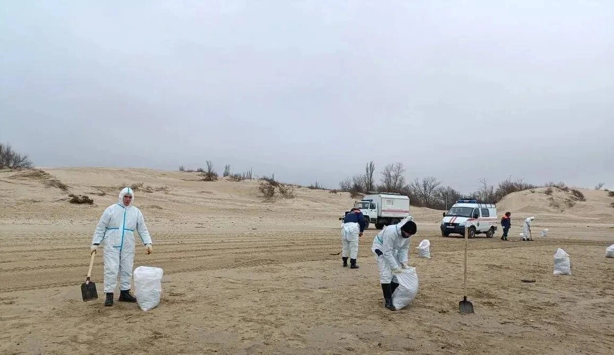    Фото t.me/opershtab23