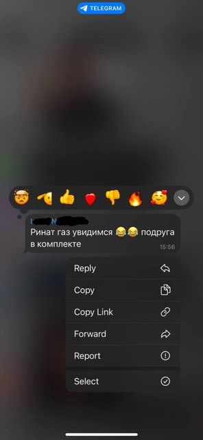     Скриншот одной из переписок, предоставленный Renatko