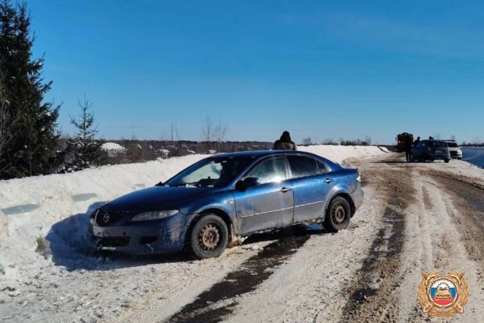    В ДТП пострадала женщина Фото: Госавтоинспекция