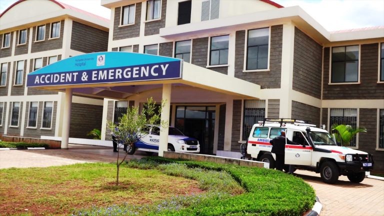    Фото: wikimedia commons / Njoki ngari, CC BY-SA 4.0 Ирина Моргунова