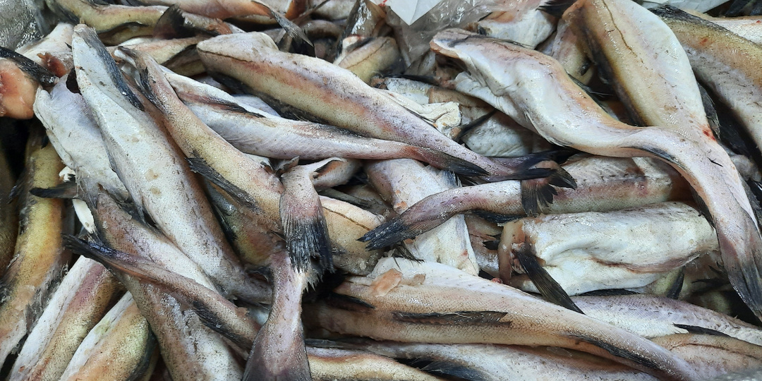 В Светофор привезли минтай и апельсины .Комнатные цветы в ассортименте.