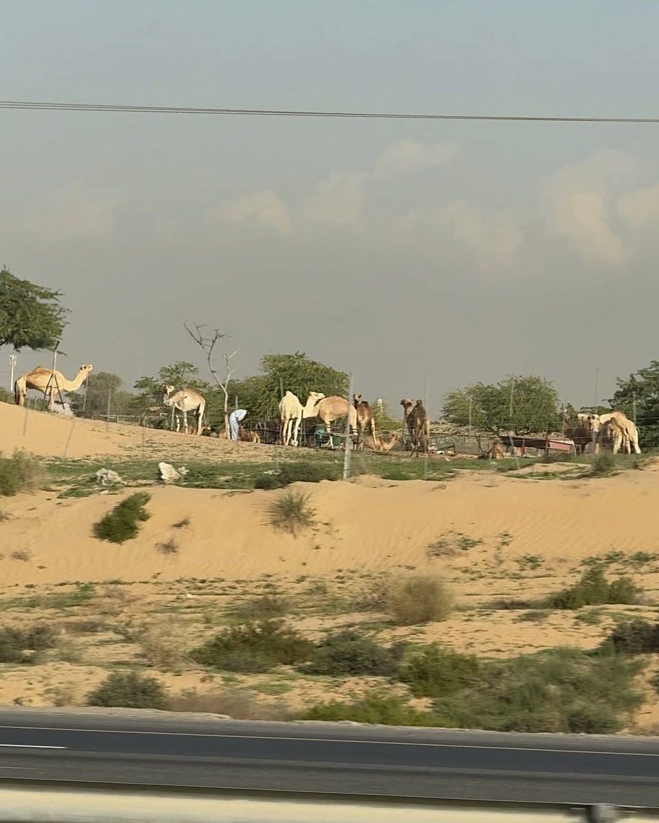 Пейзажи по дороге в Оман