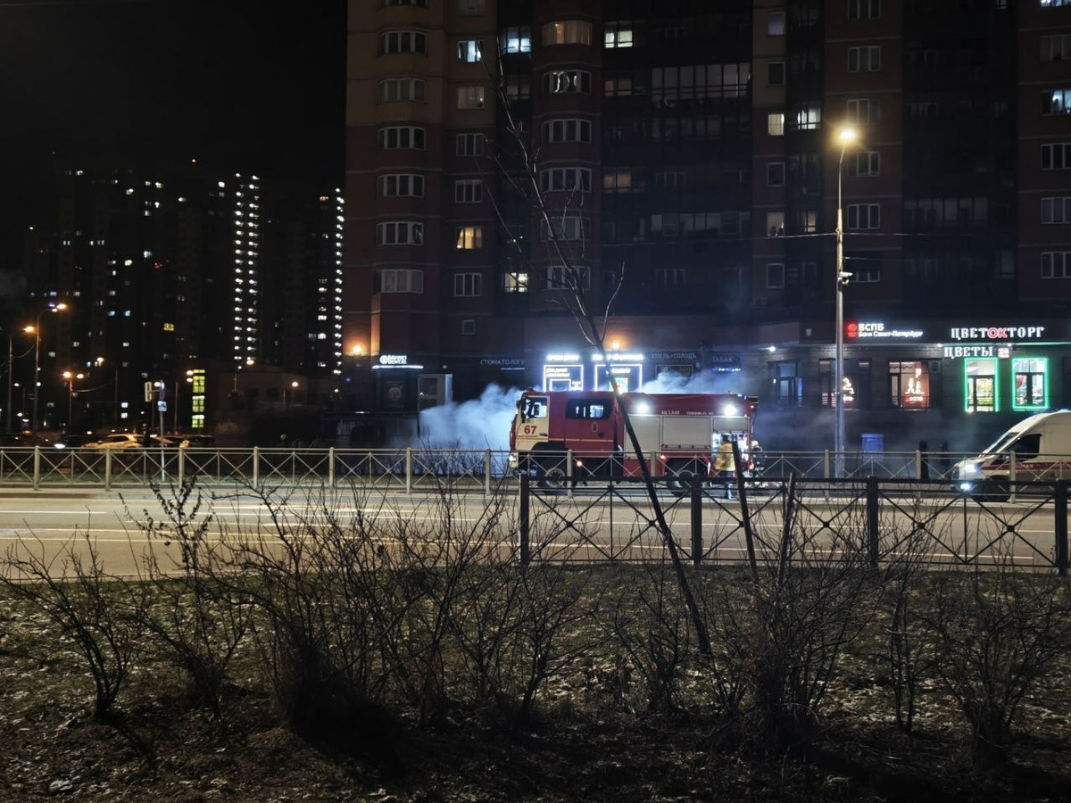 Фото: Neva.Today