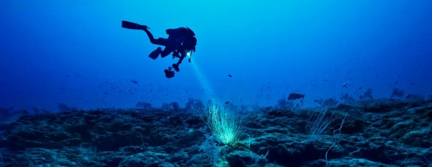 Фото: swatchgroup.com