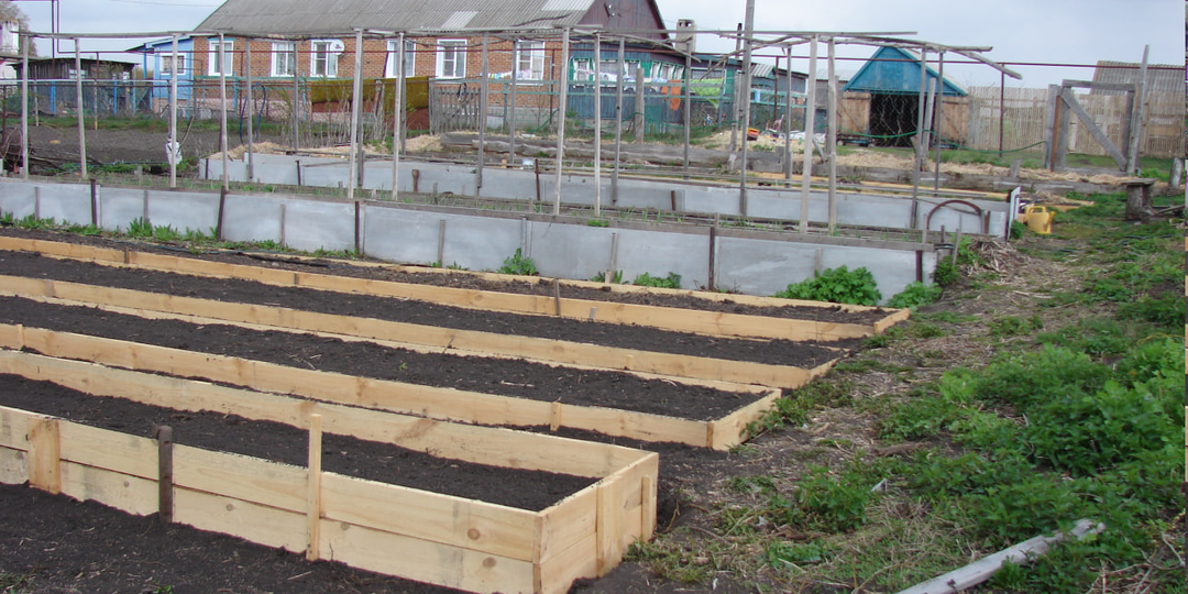 Секрет идеального ленивого огорода.