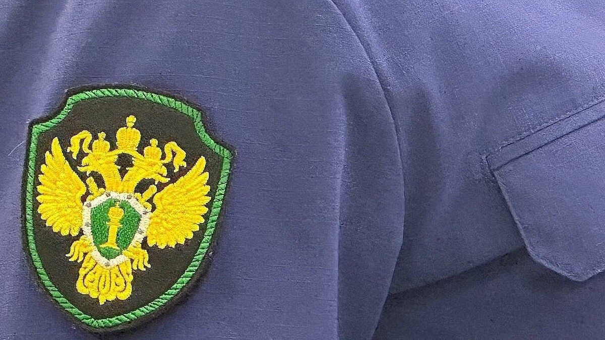    Изображение создано при помощи ИИ