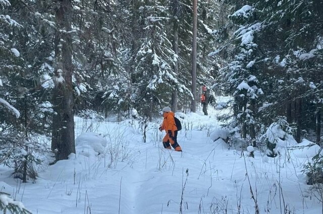    Фото: Поисковый отряд "ЛизаАлерт"