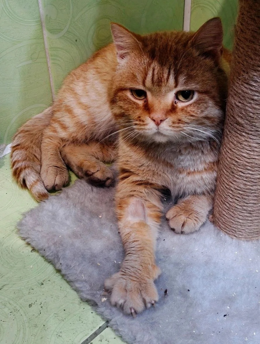 Я в ванной сидел, потому что настраивался на знакомство