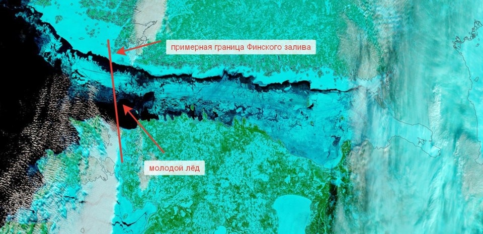    Залив покрылся тонкой корочкой льда. Фото: t.me/kammeteo