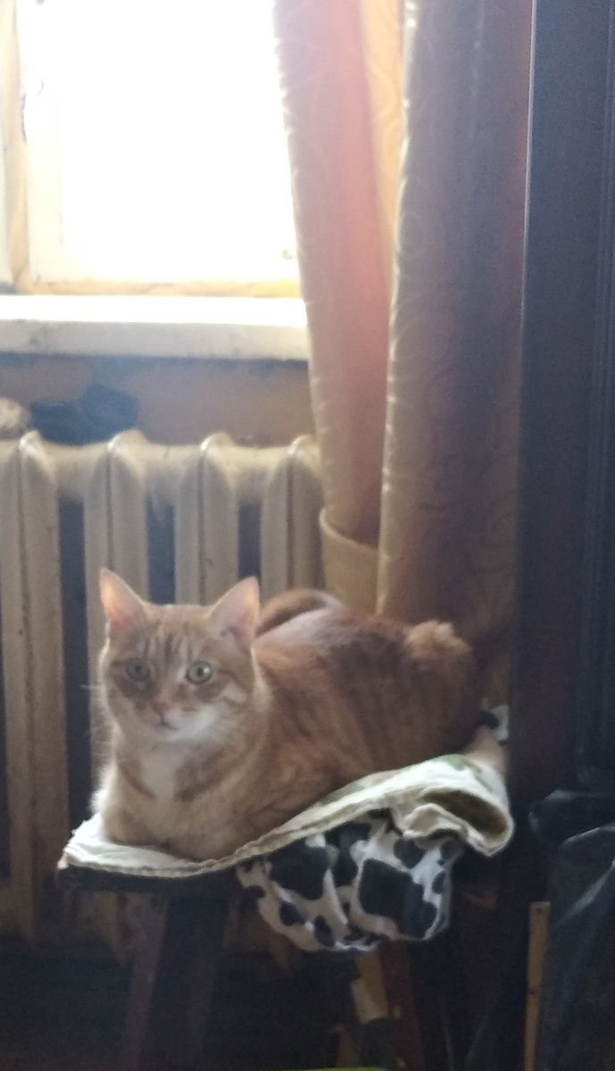 личное  фото