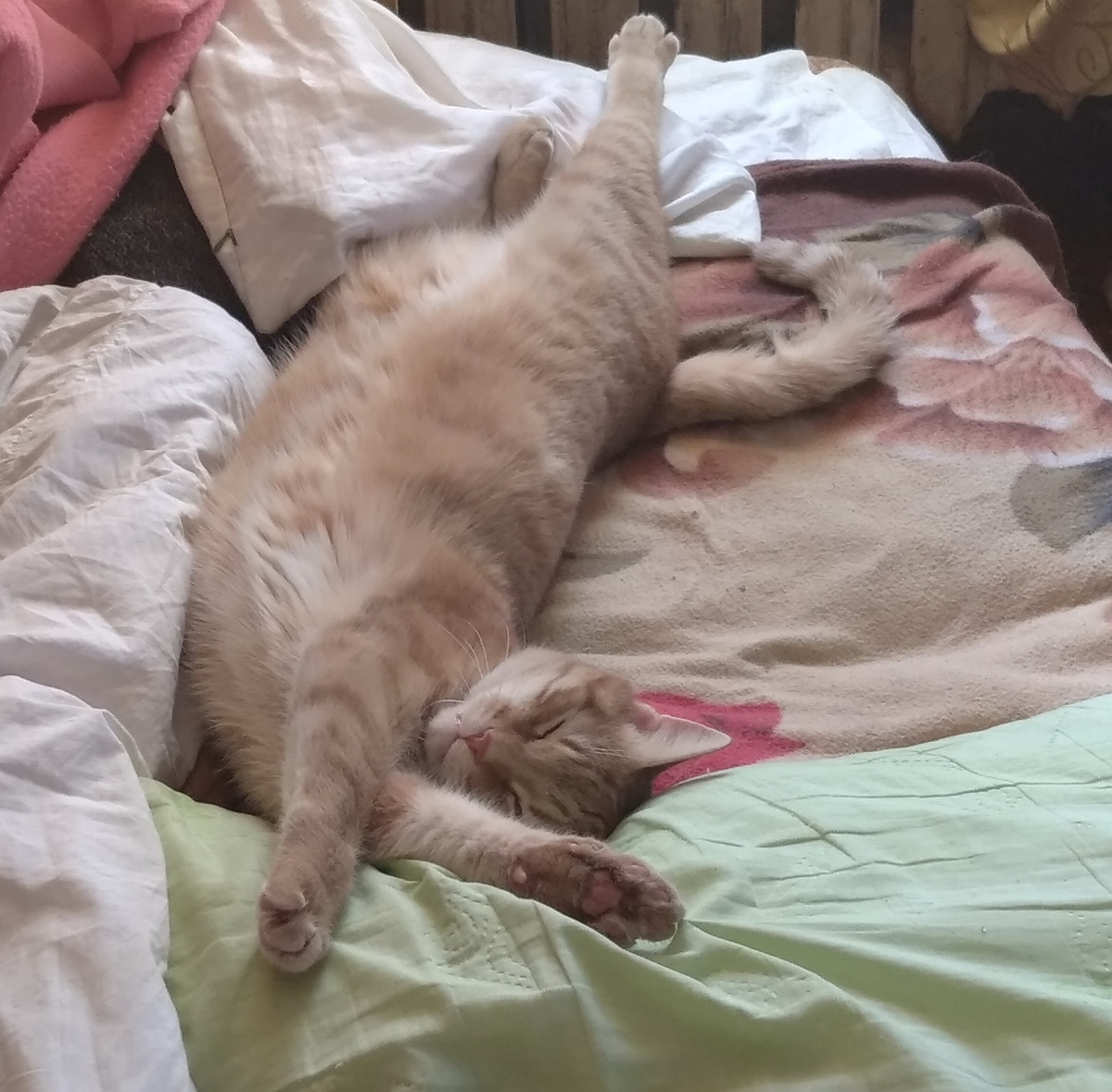 личное  фото