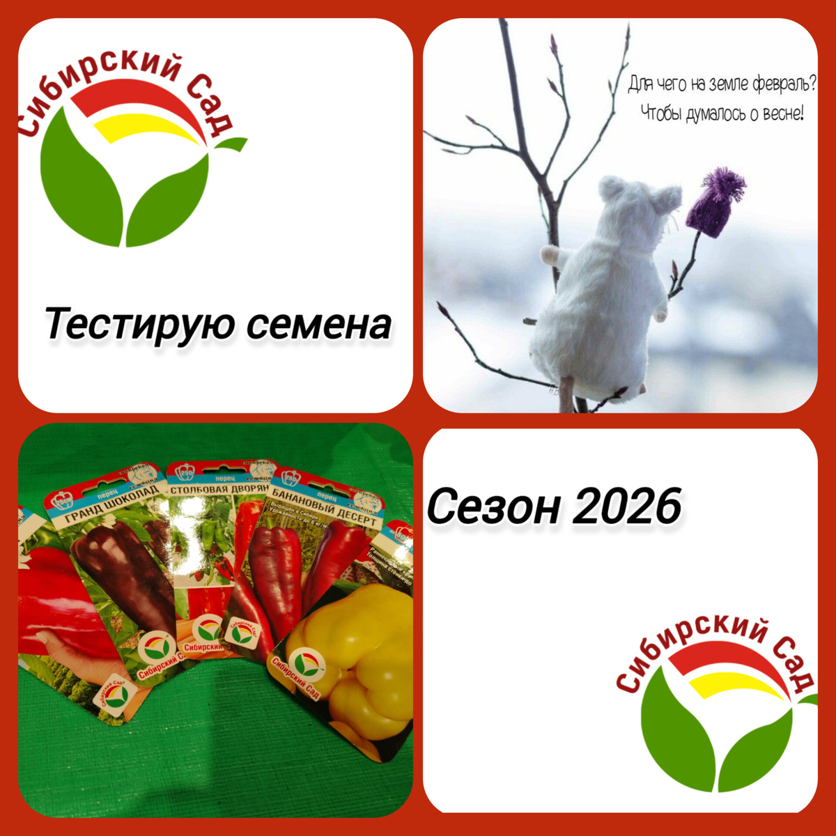 Коллаж автора статьи