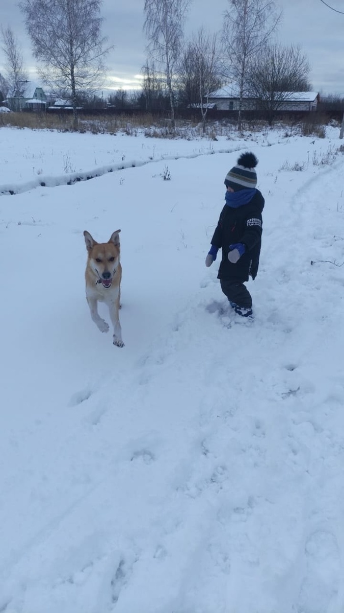 Дружок с Костей на прогулке