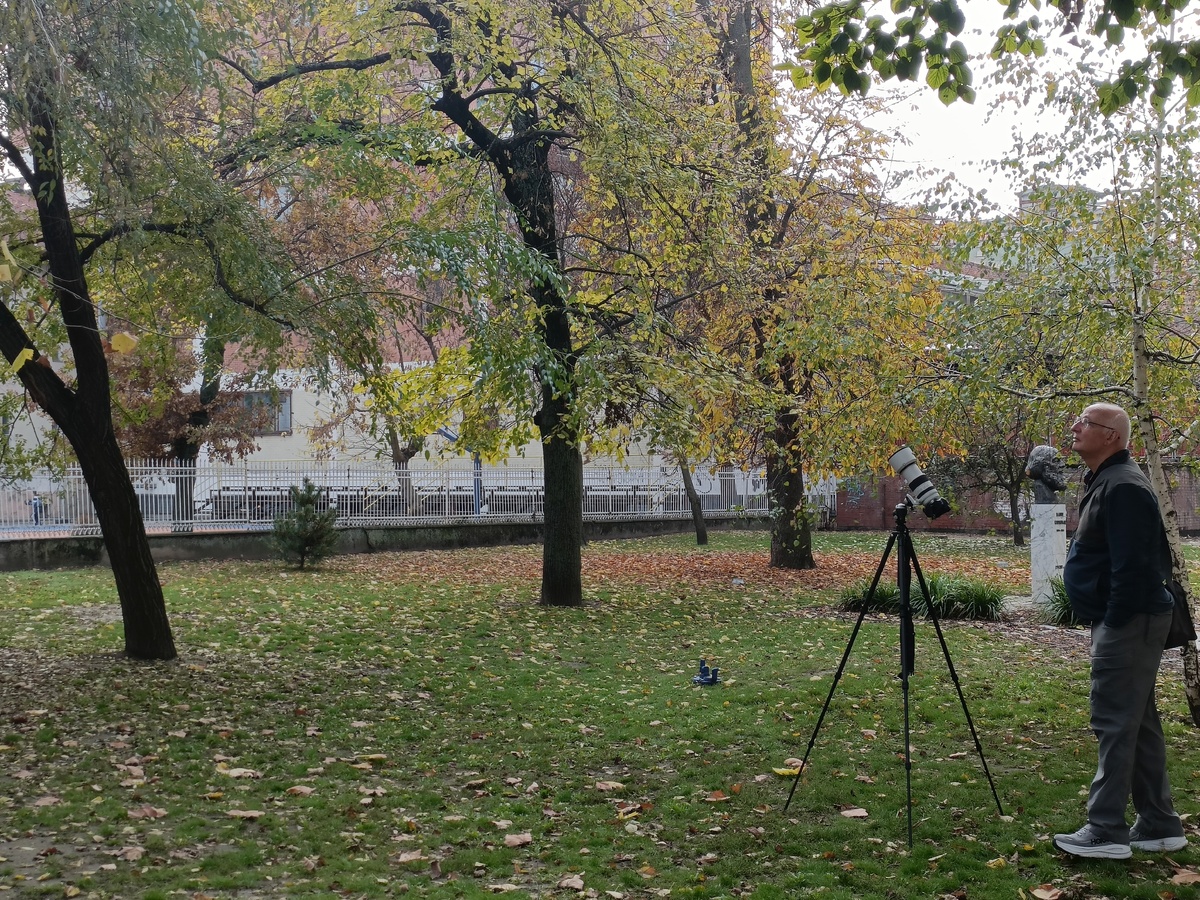 Турист, фотографирующий сов в ноябре