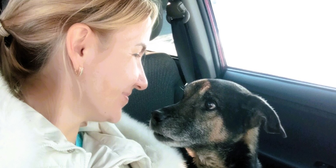 Ярость домашнего кота привела домушников в оторопь: маленькие животные и большие герои