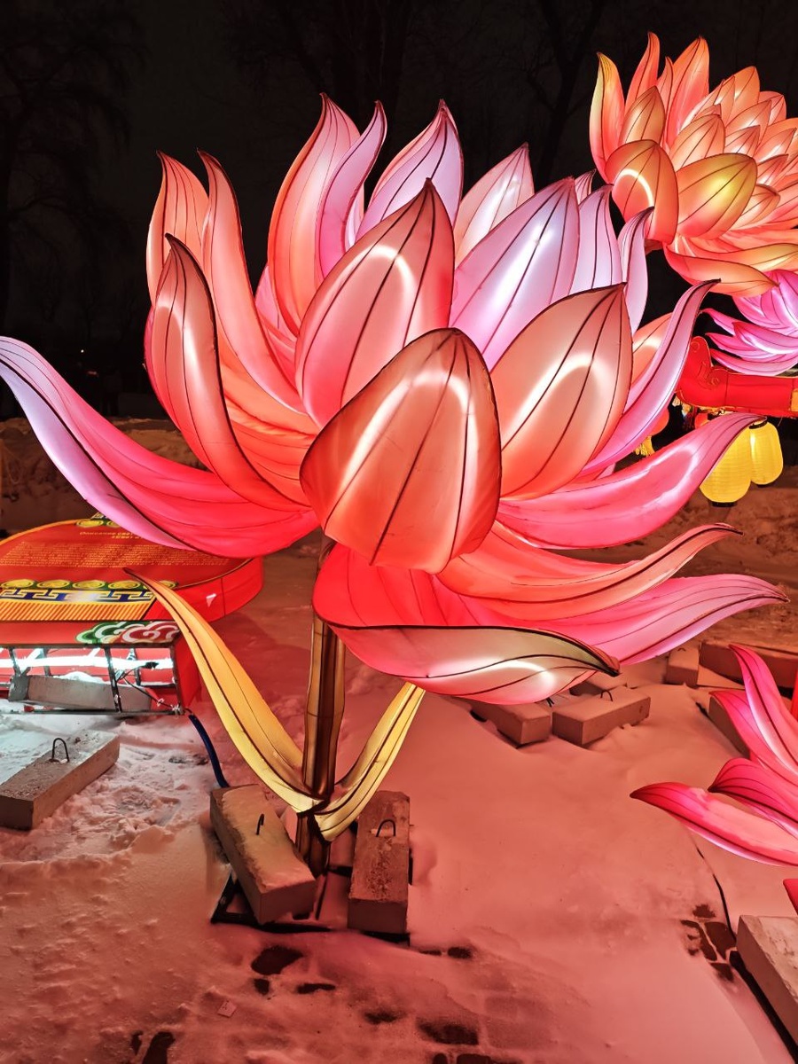 Фотографии с фестиваля китайских фонарей 2026