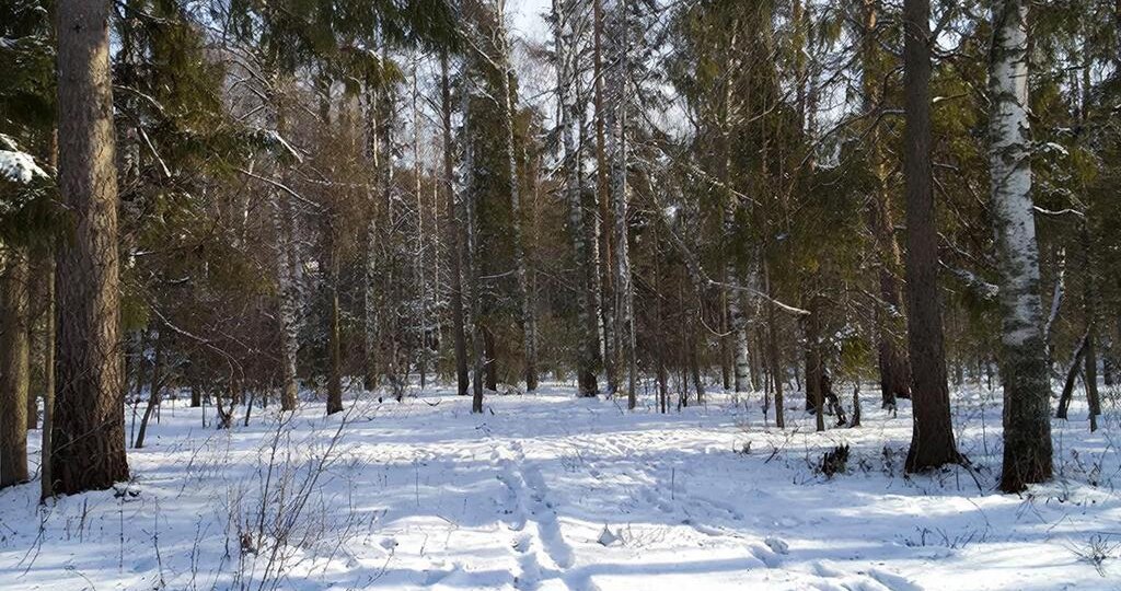 Способы нахождения токовищ.