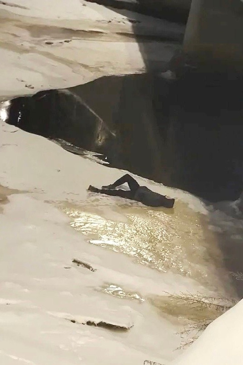    Молодого человека заметили очевидцы. Фото: vk.com/rosgvard78