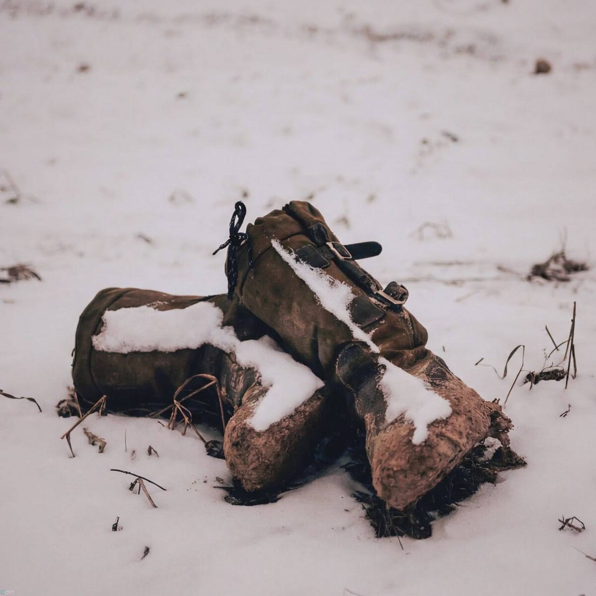 ТГ-Святая Руфь📸