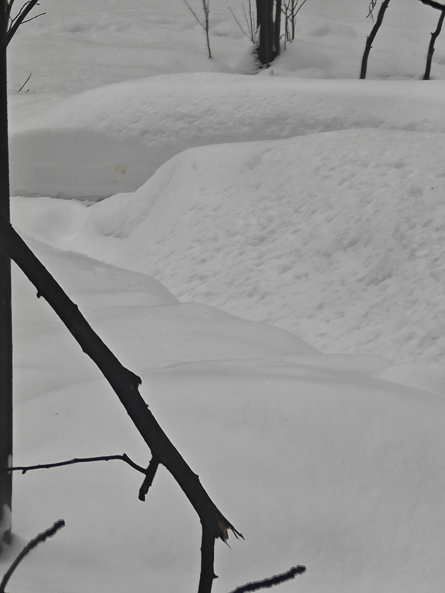 Фото автора канала 