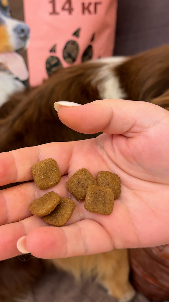 Гранулы корма "Дилли"