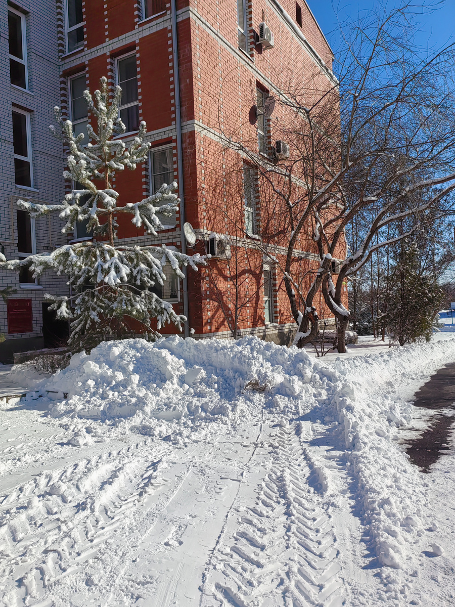Во одном из дворов недалеко