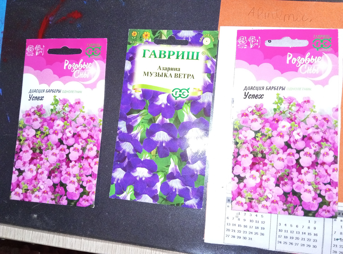 Вторая пришла вот такая и ещё подарок Петунья 