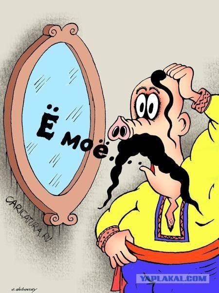 - И как они догадались...?