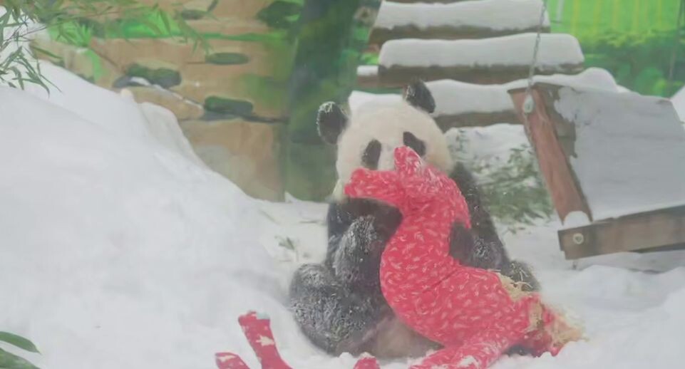    Московский зоопарк