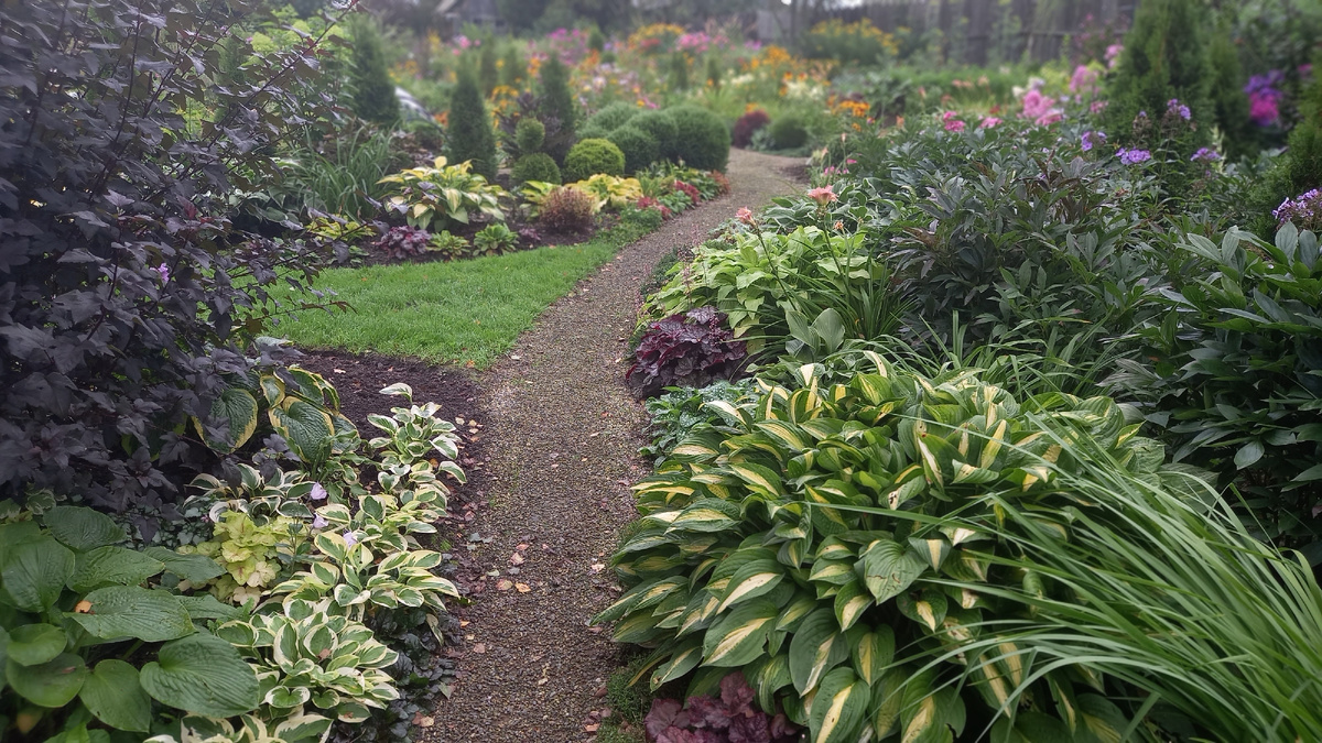 23 августа 2025 г.