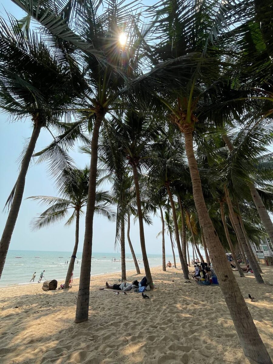 И эти тоже настоящие