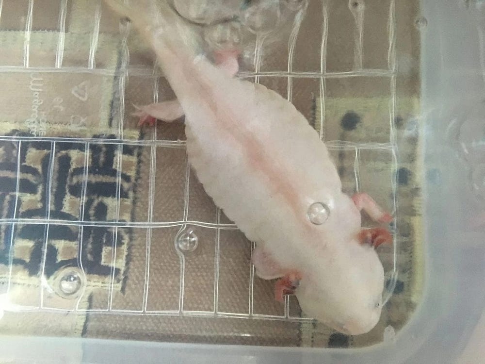 Создать карусель