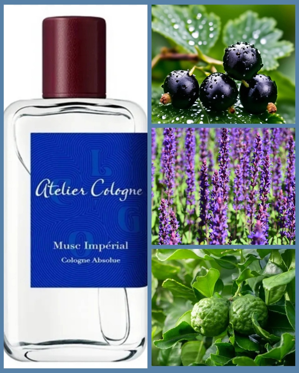 Musc Imperial от Atelier Cologne