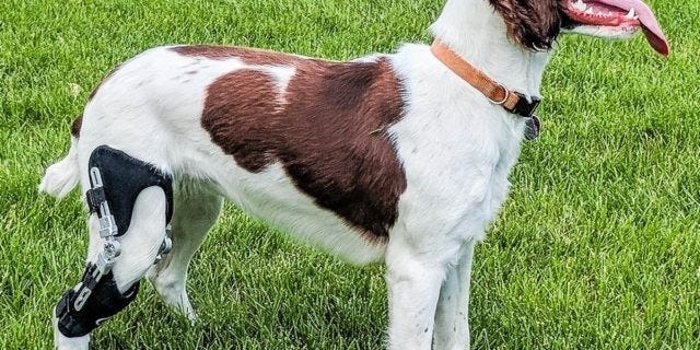 Создать карусель