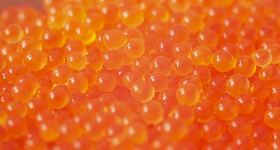    Михаил Коханчиков / Фотобанк Лори