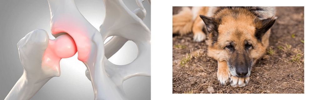 Создать карусель