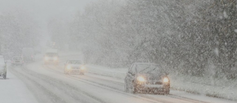    Госавтоинспекция Карелии