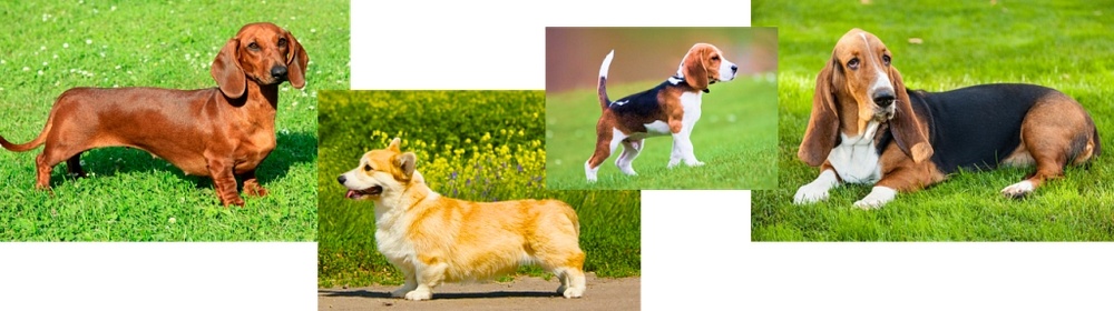 Создать карусель