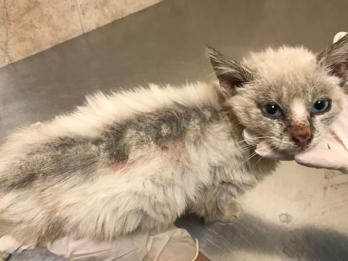 Создать карусель