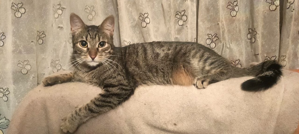 Сегодня будет про меня!