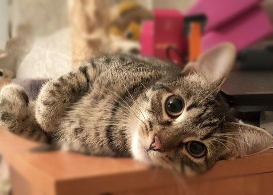 А всё равно я красивая!