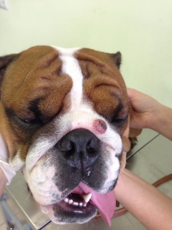 Создать карусель