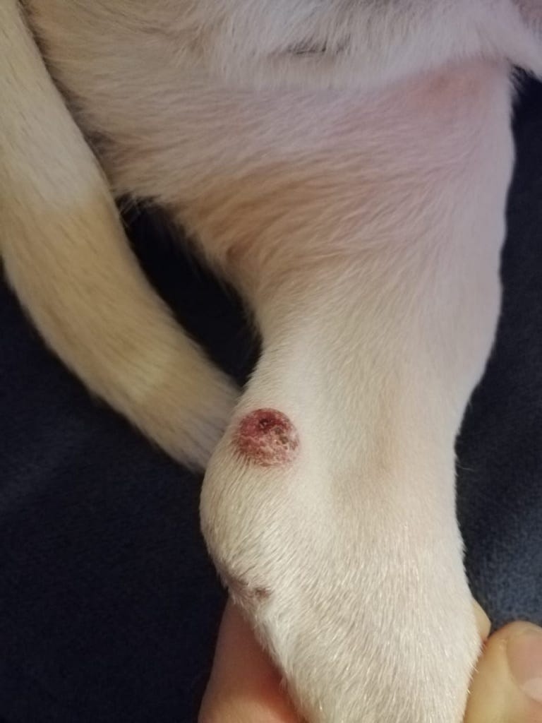 Создать карусель