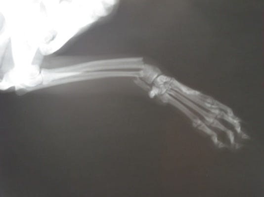 Создать карусель