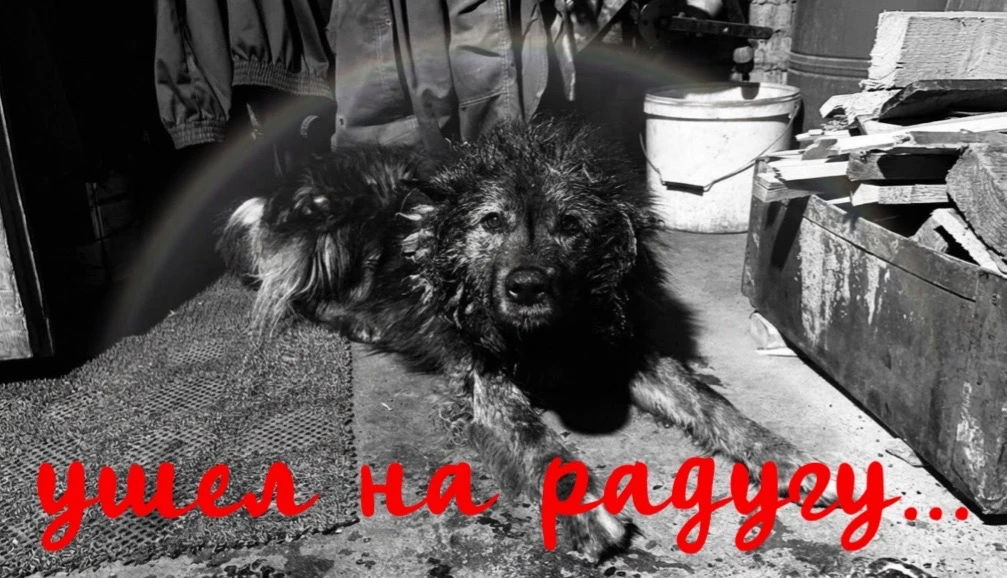 Его не стало из-за перелома трахеи...