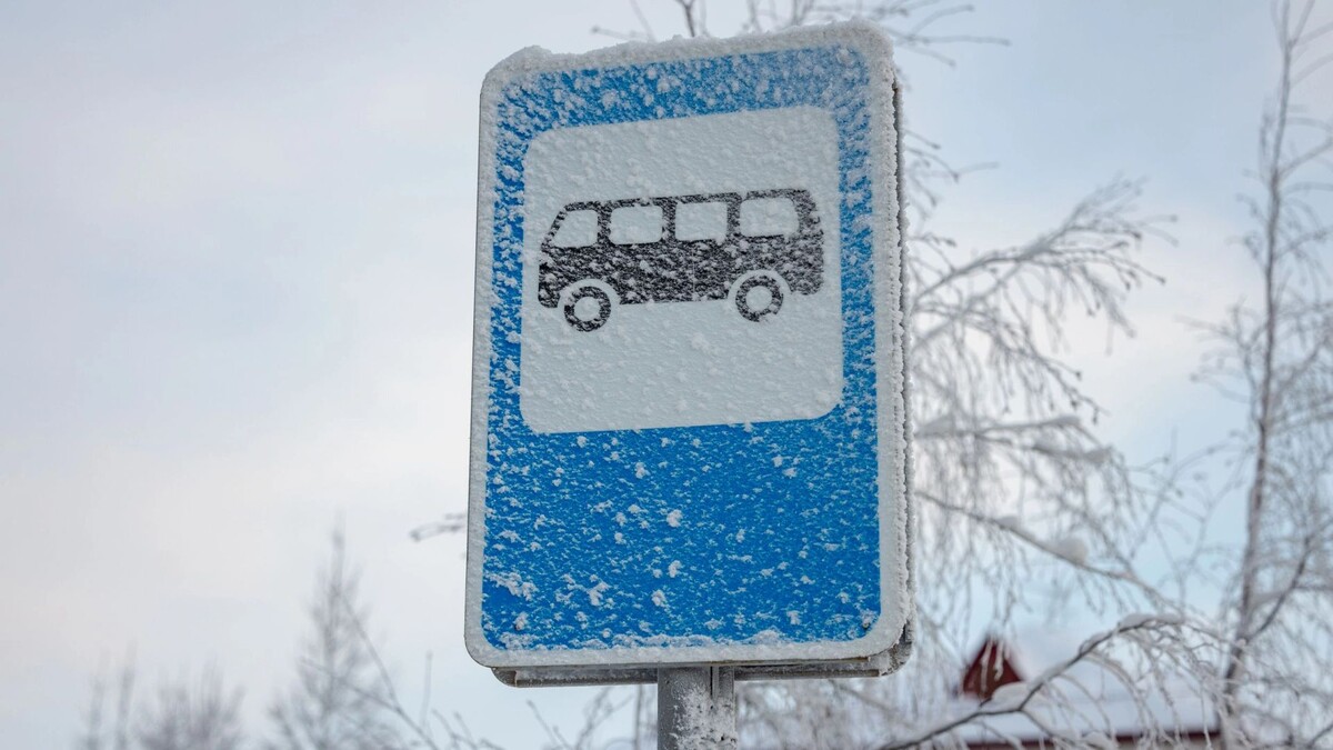    Фото: Сергей Зубков/«Ямал-Медиа»