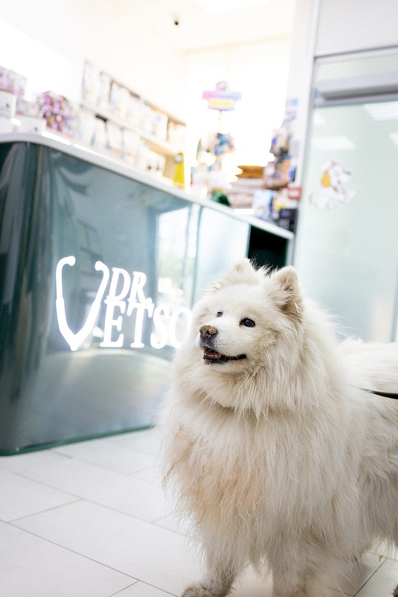 Создать карусель